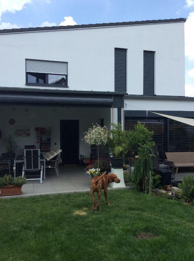 Private Zimmervermietung "Appartement Rosi" Reisbach Eksteriør bilde